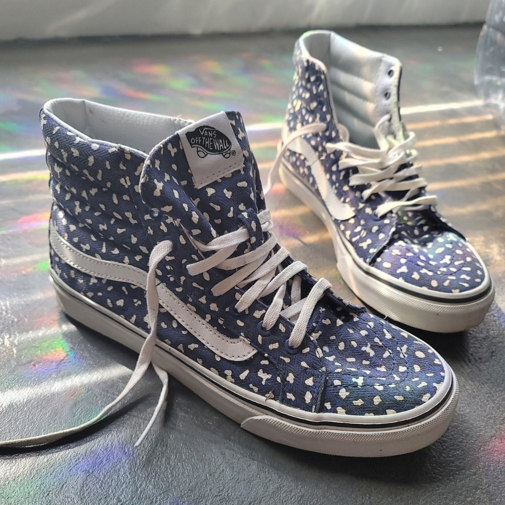 Unique Hightop Van's